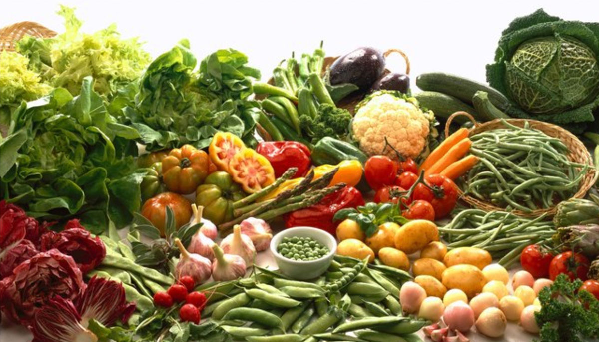 Recife oferece a primeira pós-gradução em nutrição vegetariana do país