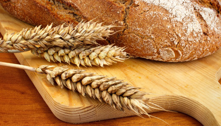 Quebra na safra de trigo irá elevar preço do produto a partir de abril